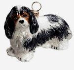 Cavalier King Charles Tri Color